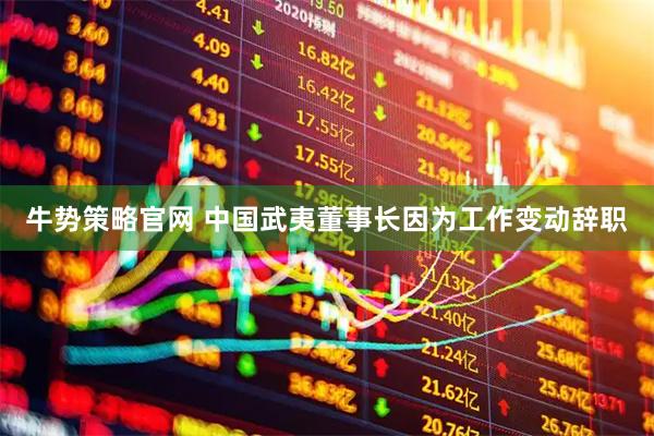 牛势策略官网 中国武夷董事长因为工作变动辞职