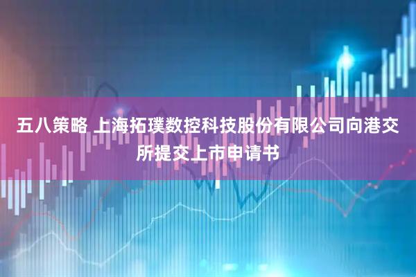 五八策略 上海拓璞数控科技股份有限公司向港交所提交上市申请书