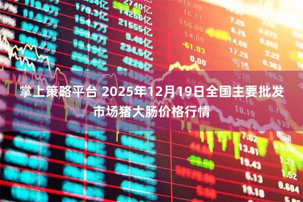 掌上策略平台 2025年12月19日全国主要批发市场猪大肠价格行情