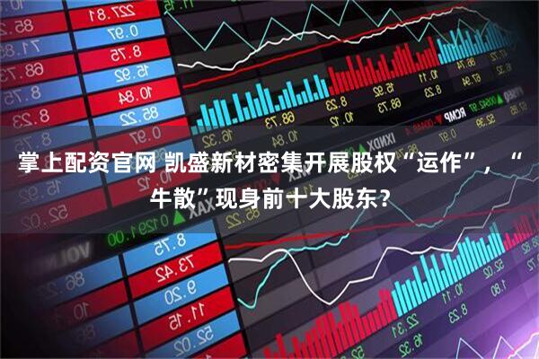 掌上配资官网 凯盛新材密集开展股权“运作”，“牛散”现身前十大股东？