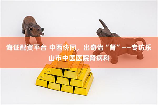 海证配资平台 中西协同，出奇治“肾”——专访乐山市中医医院肾病科