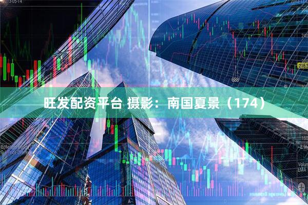 旺发配资平台 摄影：南国夏景（174）