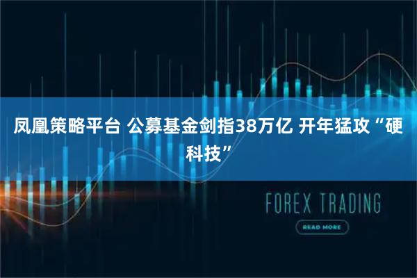 凤凰策略平台 公募基金剑指38万亿 开年猛攻“硬科技”