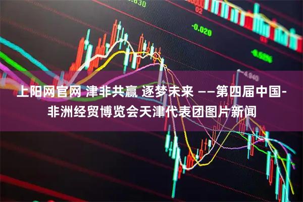 上阳网官网 津非共赢 逐梦未来 ——第四届中国-非洲经贸博览会天津代表团图片新闻