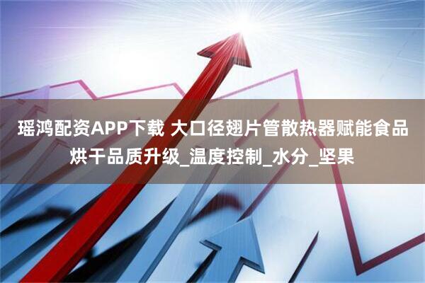 瑶鸿配资APP下载 大口径翅片管散热器赋能食品烘干品质升级_温度控制_水分_坚果