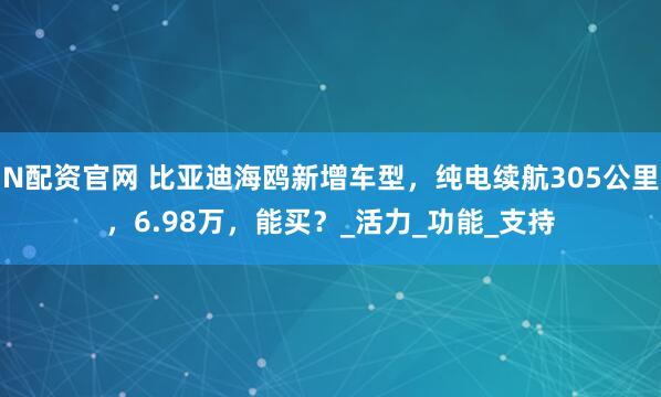 N配资官网 比亚迪海鸥新增车型，纯电续航305公里，6.98万，能买？_活力_功能_支持