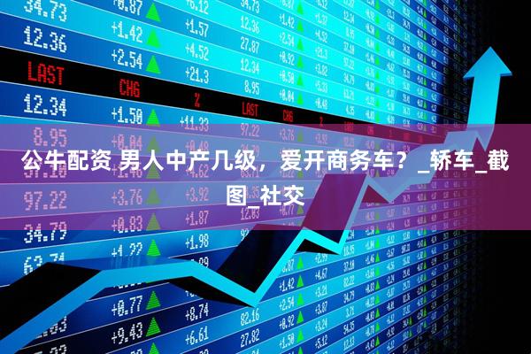 公牛配资 男人中产几级，爱开商务车？_轿车_截图_社交