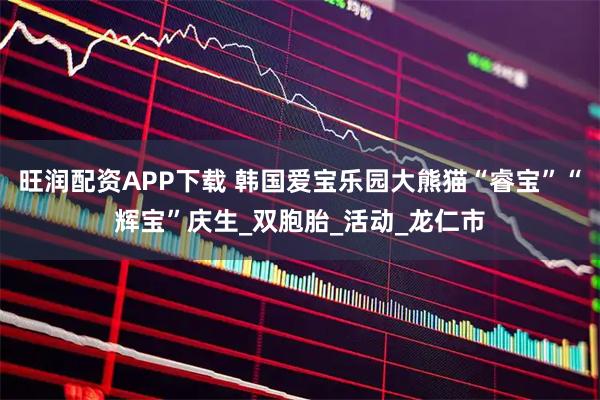 旺润配资APP下载 韩国爱宝乐园大熊猫“睿宝”“辉宝”庆生_双胞胎_活动_龙仁市