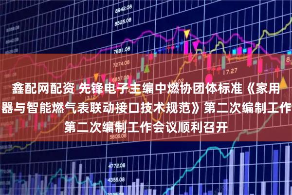 鑫配网配资 先锋电子主编中燃协团体标准《家用可燃气体探测器与智能燃气表联动接口技术规范》第二次编制工作会议顺利召开