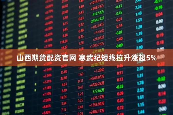 山西期货配资官网 寒武纪短线拉升涨超5%