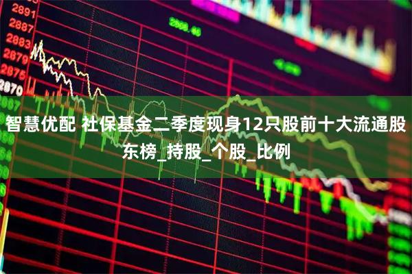 智慧优配 社保基金二季度现身12只股前十大流通股东榜_持股_个股_比例